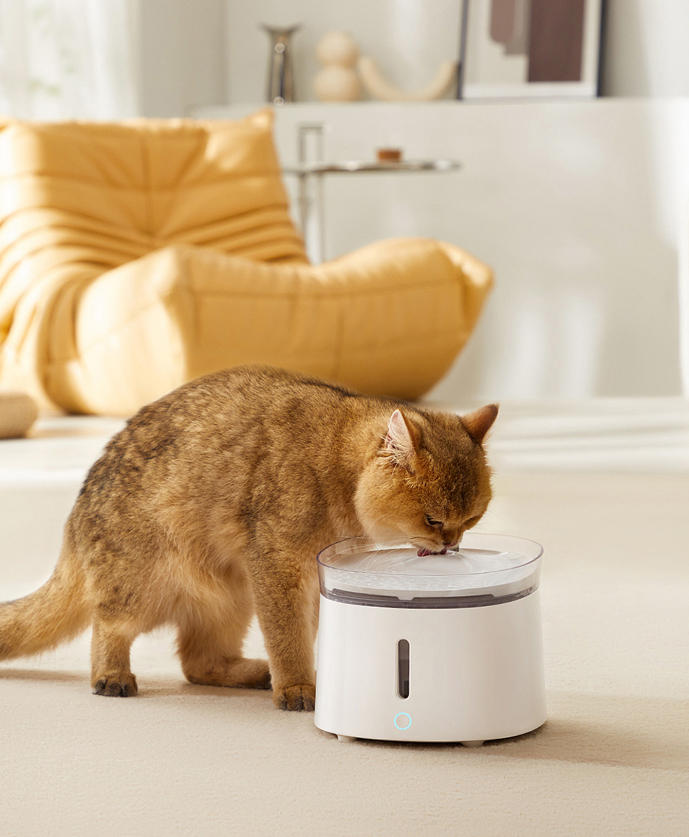 애완 동물 제품